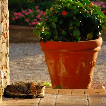 Relais Borgo Torale Resort Passignano sul Trasimeno