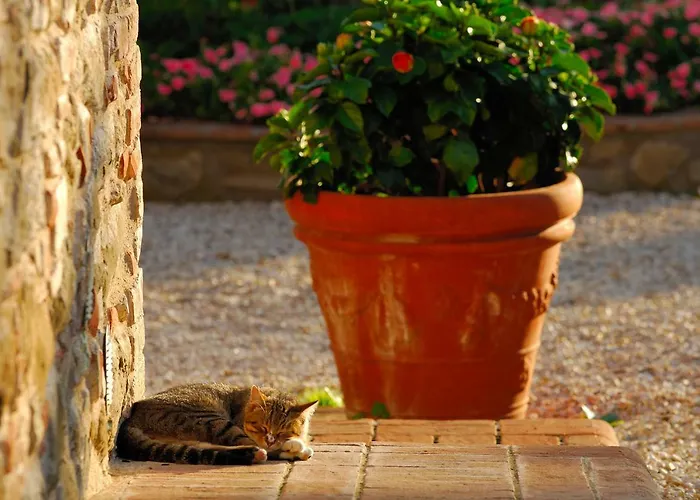 Relais Borgo Torale Resort Passignano sul Trasimeno
